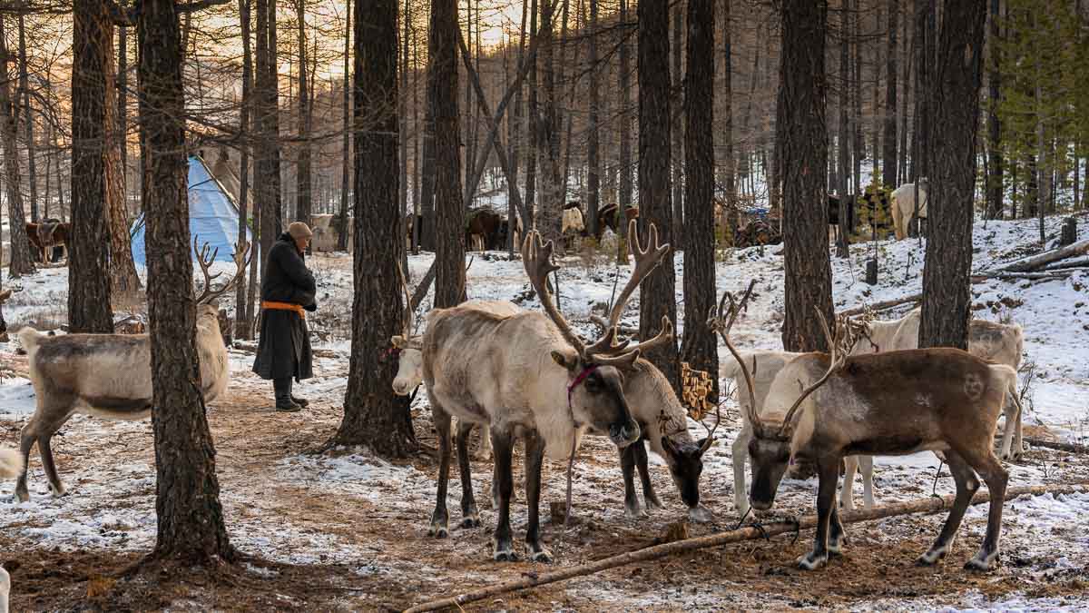 Nomad Camp - Travelling to Mongolia