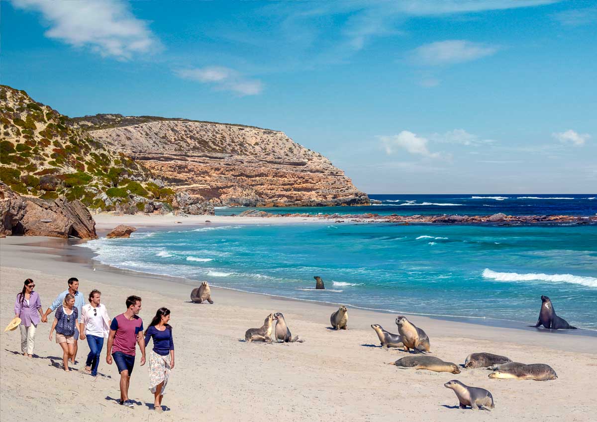 Guided Tour at Seal Bay in Kangaroo Island - Places to Visit in Australia
