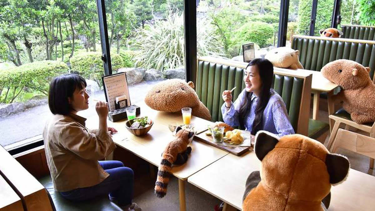 Izu Shaboten Zoo Cafe in Japan - COVID-19 Social Distancing