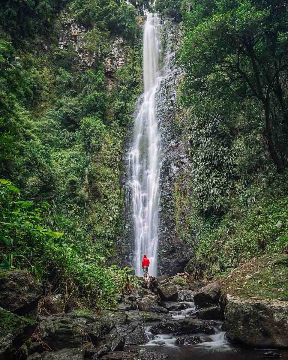 Larapinta Falls in Lamington National Park at Scenic Rim - Instagrammable Queensland