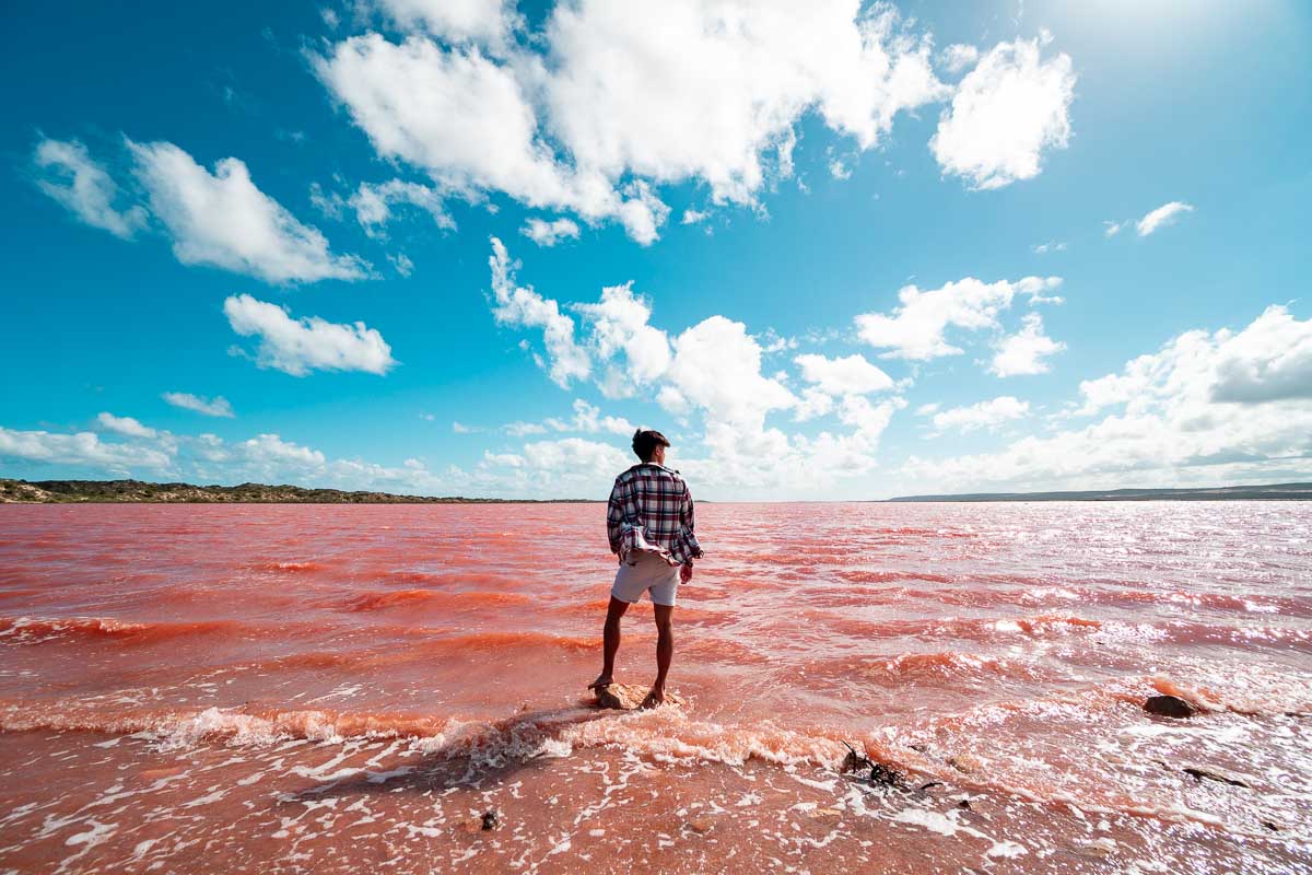 Pink Lake Hutt Lagoon in Western Australia - Places to Visit in Perth