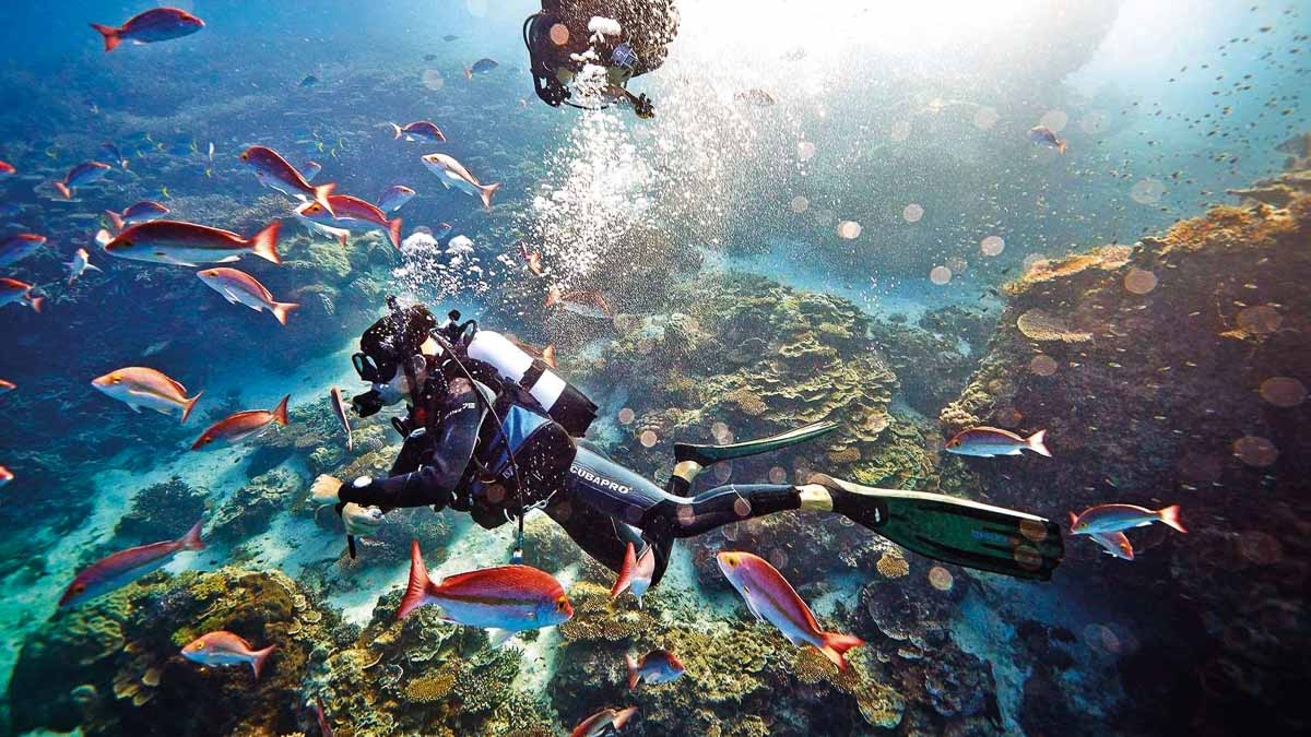 Scuba-diving-in-the-Great-Barrier-Reef-unique-travel-experiences
