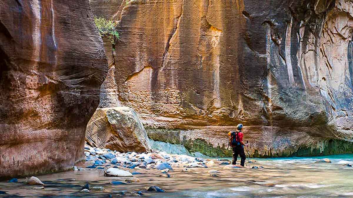 Zion National Park The Narrows - Hikes around the world