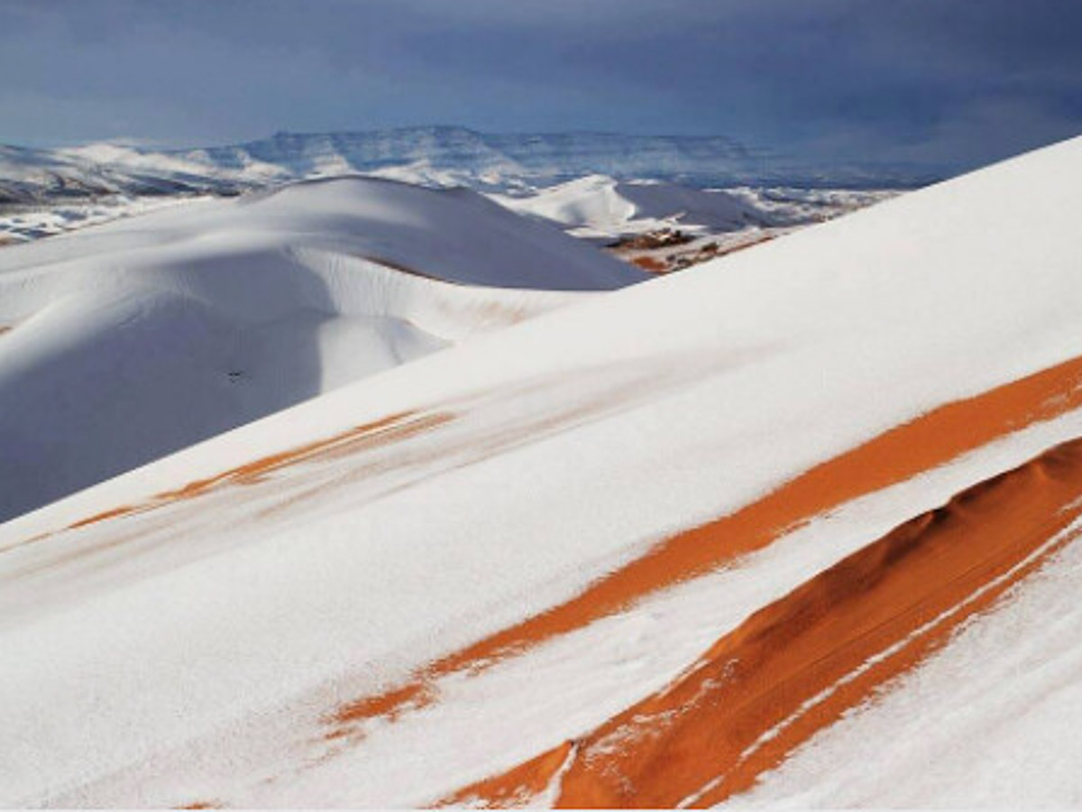 Snowfall Upon The Sahara Desert - Fun Facts 