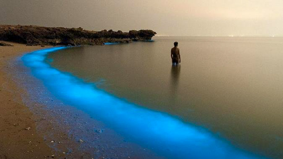 Bioluminescent Plankton at Otres Beach - lesser-known destinations