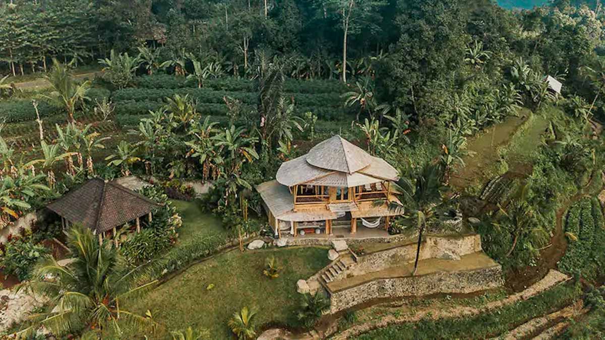 Bali Indonesia Bamboo Airbnb With Rice Terrace Views Drone Shot - Dream Homes