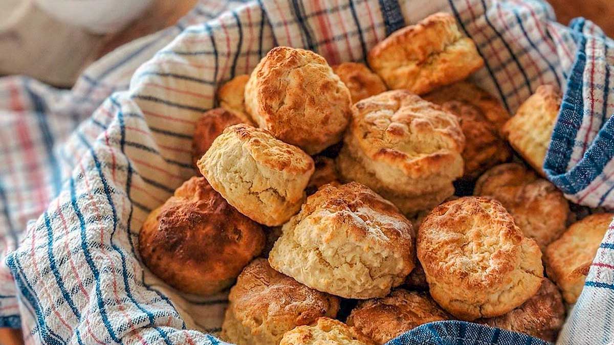 Curringa Farm fresh baked scones - Lesser-Known things to do in Australia