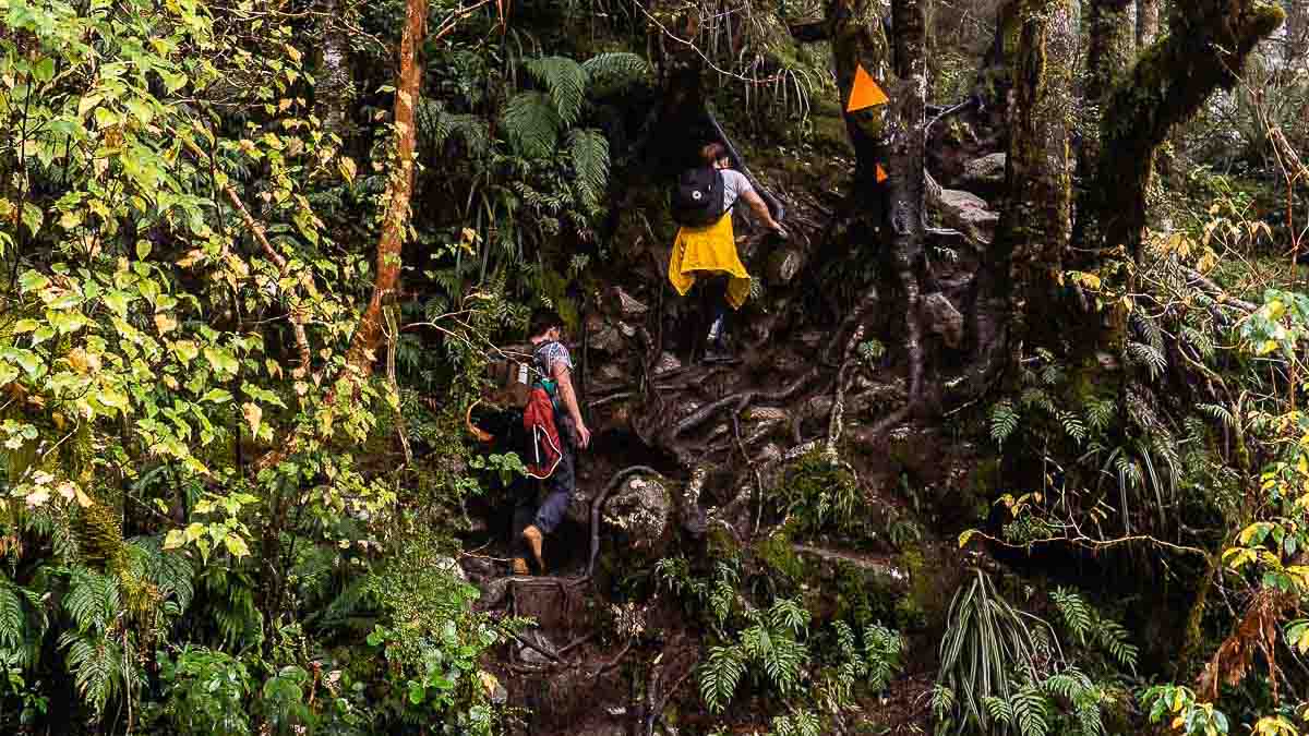 Lake Marian Hiking Route - Hikes around the world