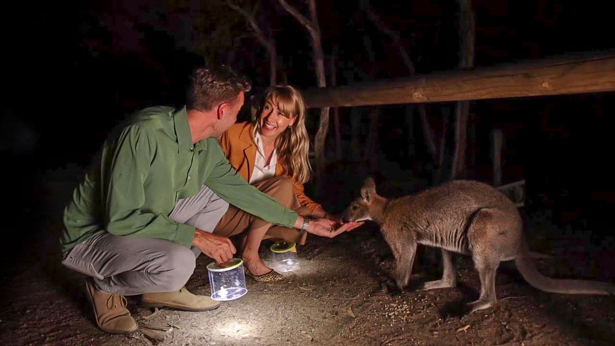 Moonlit Sanctuary Night Tour - Australia recommended by locals travellers celebrities