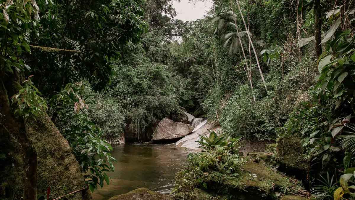 Rio de Janeiro Brazil Airbnb Close to Waterfall - Dream Homes