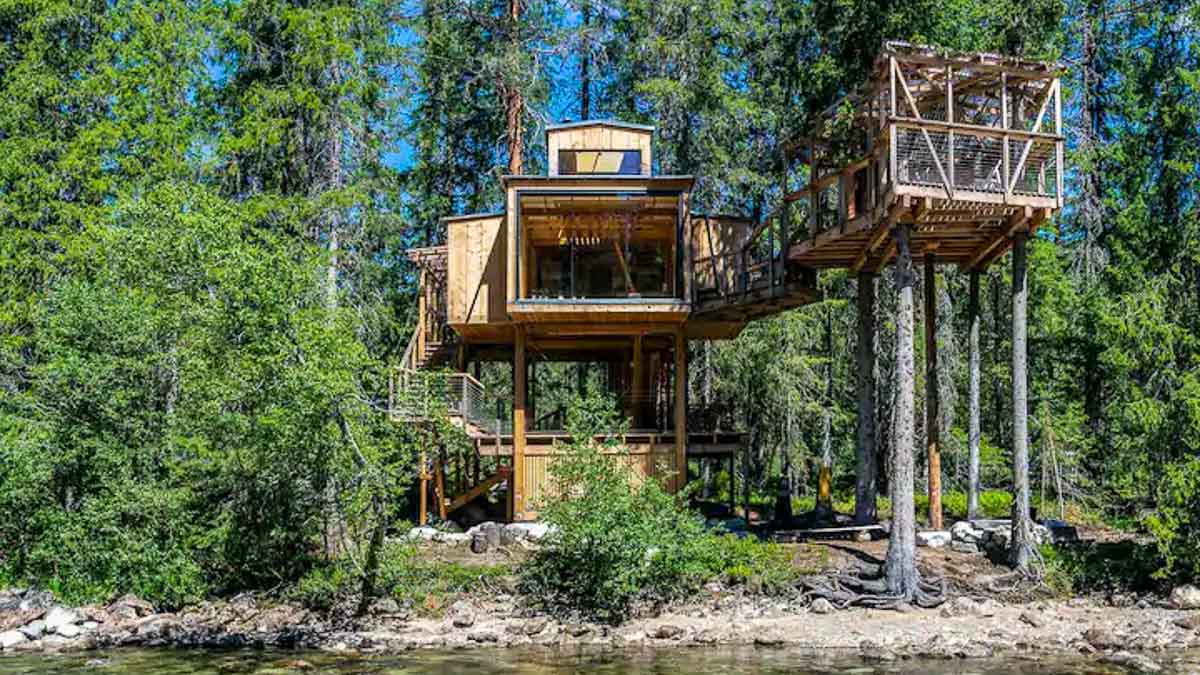 Tinn Norway Forest Treehouse Exterior - Dream Homes Around The World