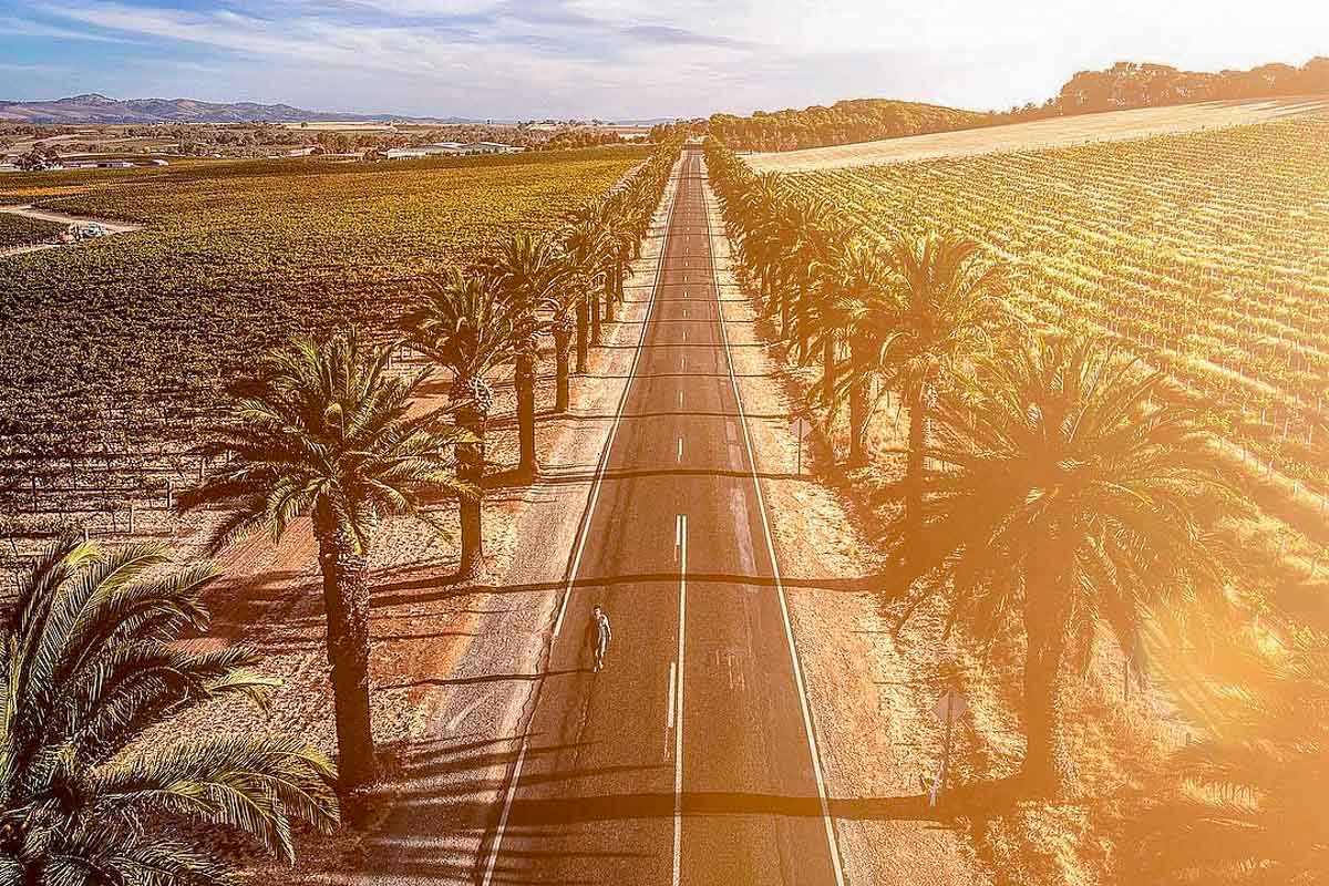 Barossa Valley - Australia Road Trip Itinerary