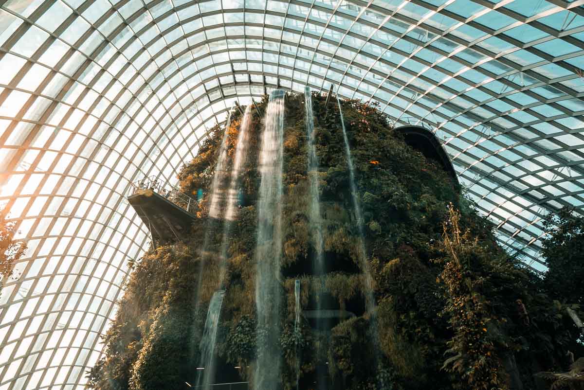 Indoor Waterfall Cloud Forest Gardens By The Bay - Things to do in SingaporePhoto credit: @clarencebeh via Instagram