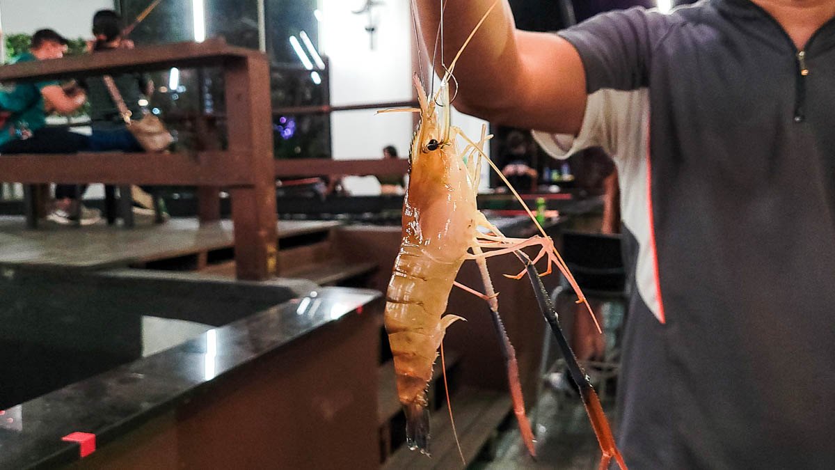 Late Night Prawning Fish at Bugis Plus - Singapore Itinerary 