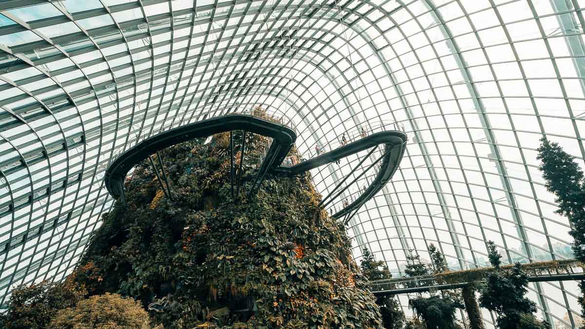 Gardens by the Bay Cloud Forest - Things to do in Singapore