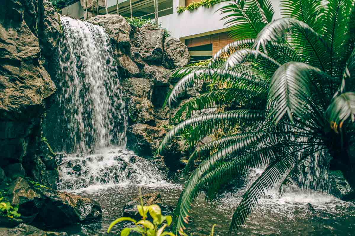 Grand Hyatt Hotel Waterfall - Staycation in Singapore