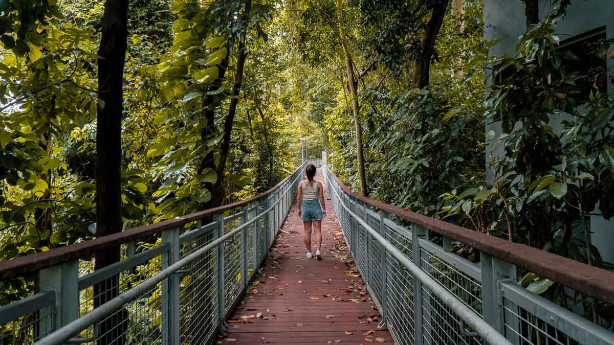 Imbiah Trail - Things to do in Sentosa