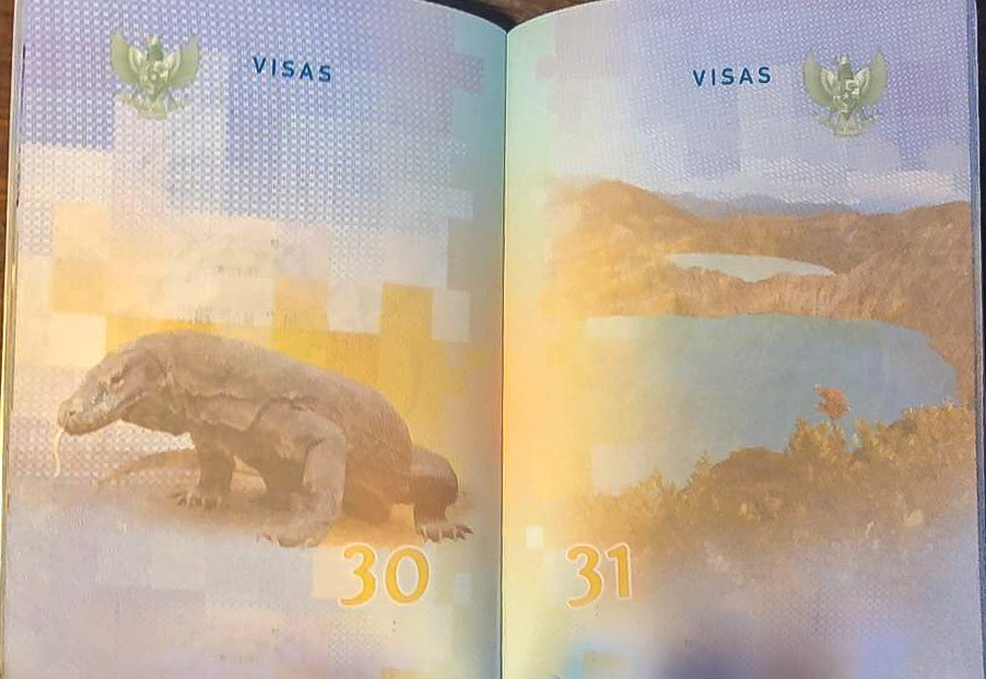 Indonesia Passport Komodo Dragon and Kelimutu