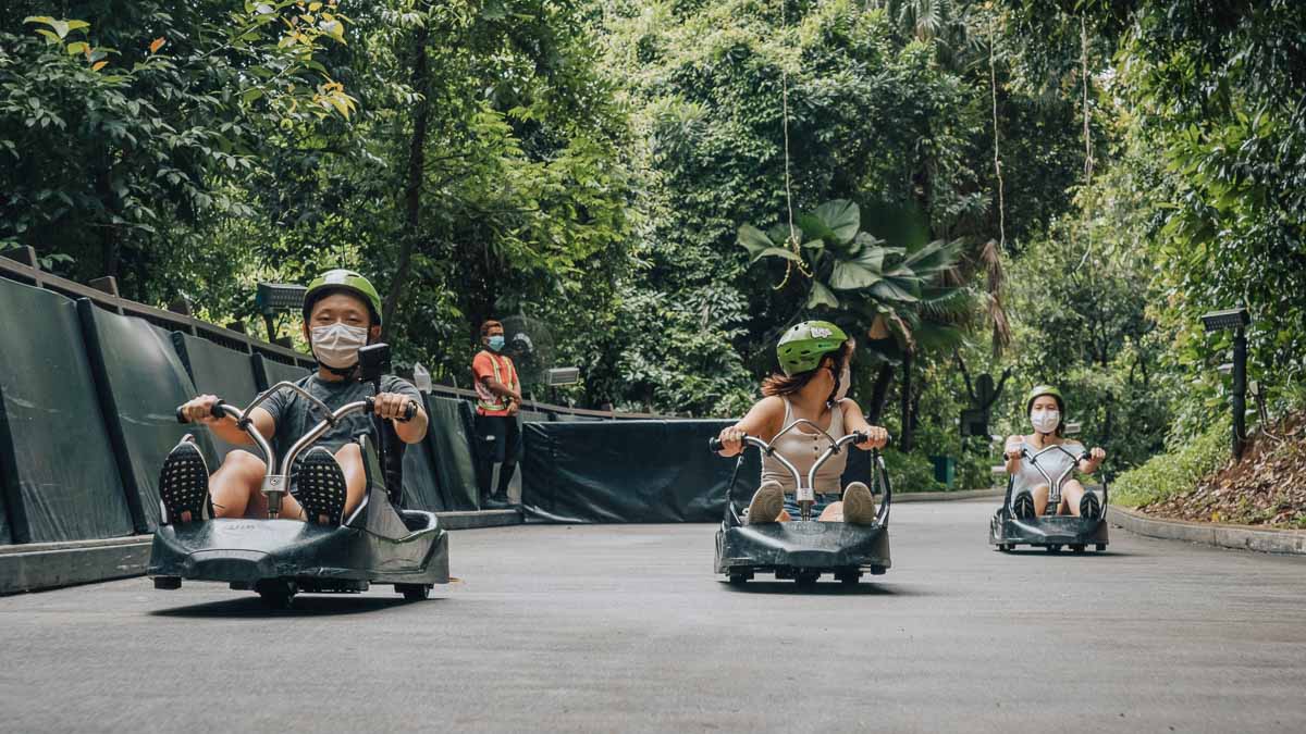 Sentosa Skyline Luge - Things to do at Sentosa