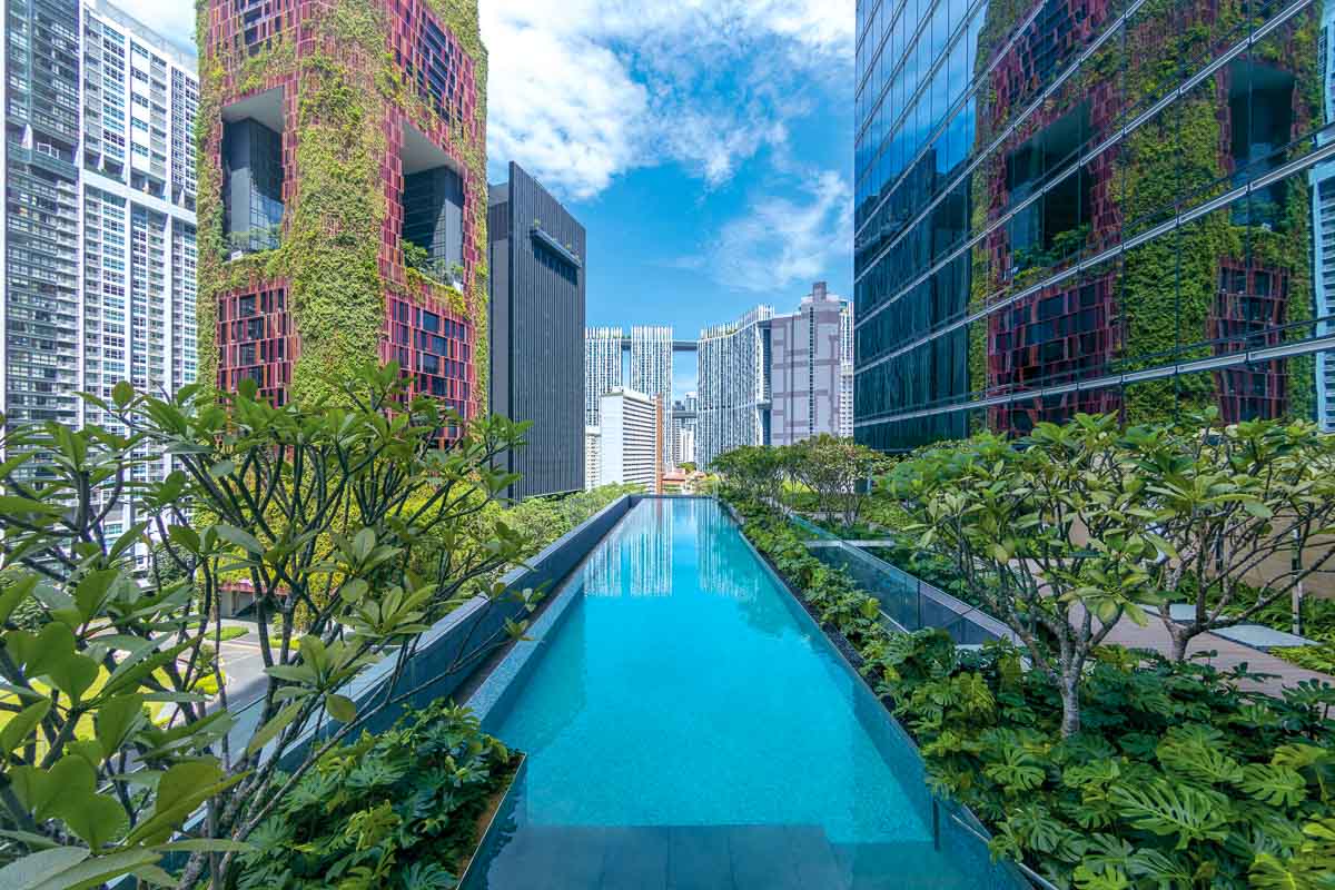 Sofitel Singapore City Centre Rooftop Pool - Staycation in Singapore