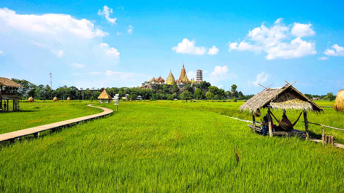 Back of Meena Cafe Kanchanaburi- Cafe Hopping in Thailand