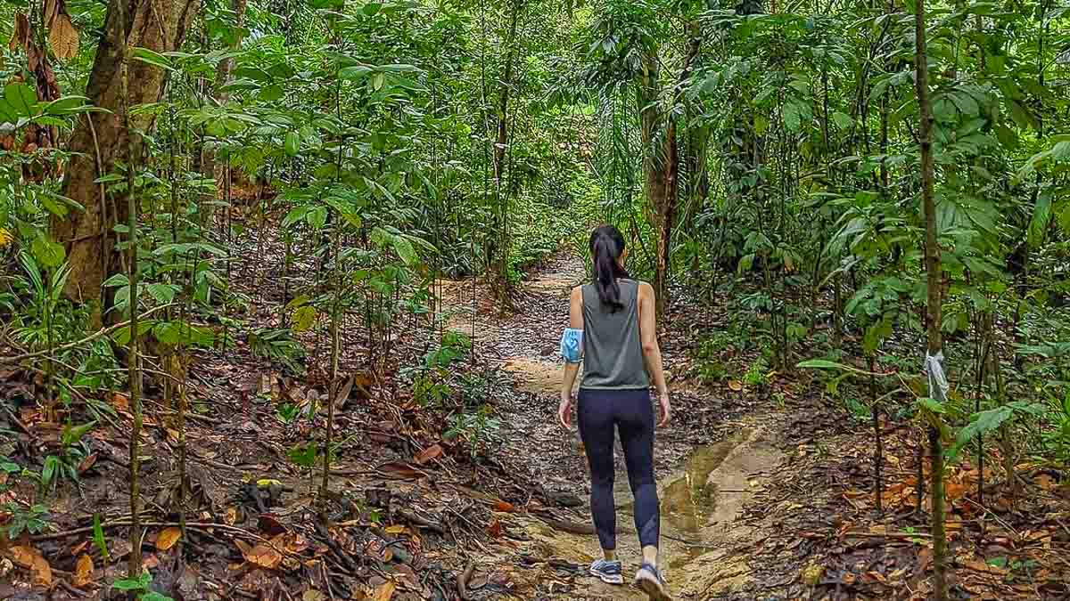 Chestnut Nature Park Hiking - Free Outdoor Activities for Locals