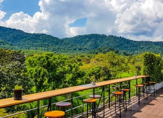 Cafe hopping in Thailand — 5 Cafes Surrounded by Nature Cafe hopping in Thailand