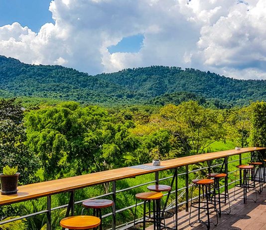 Cafe hopping in Thailand — 5 Cafes Surrounded by Nature Cafe hopping in Thailand