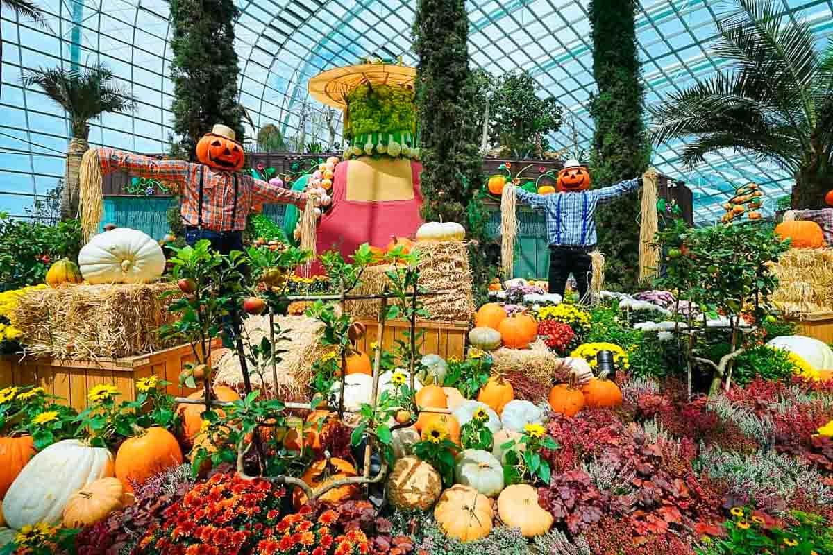 Gardens by the Bay Flower Dome Halloween Event - SingapoRediscovers Vouchers