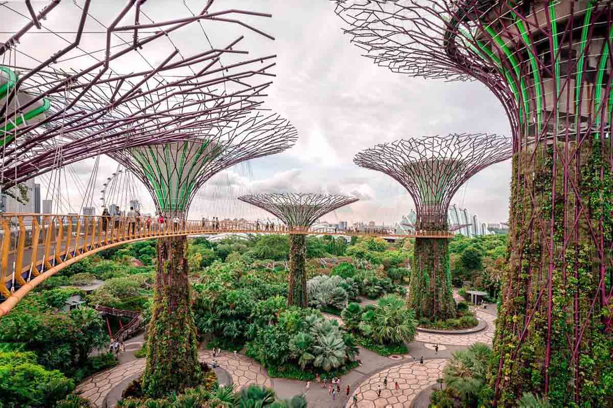 Gardens by the Bay OCBC Skyway Supertrees - Singapore Attractions