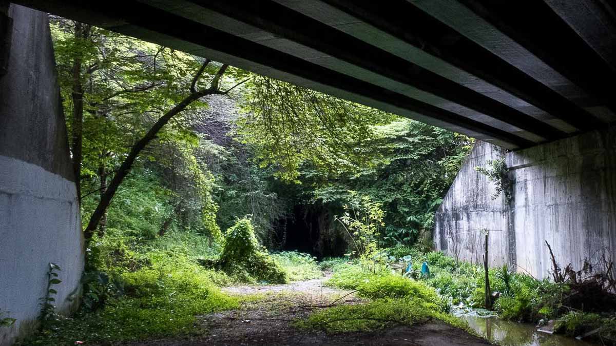Jurong Rail Tunnel Trail - Hidden Spots in Singapore