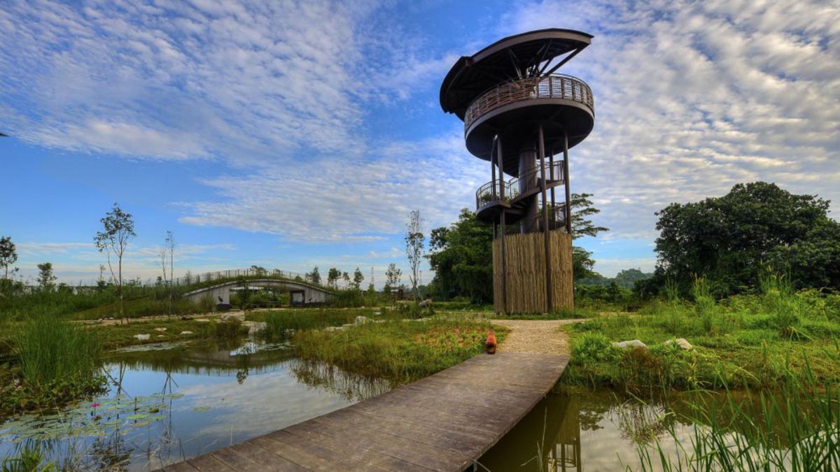 Kranji Marshes Hike - Things to do in Singapore