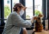 The Cat Cafe Singapore