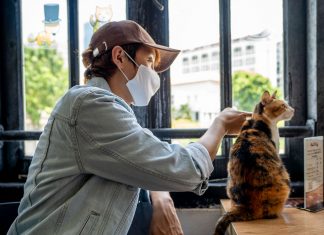 The Cat Cafe Singapore