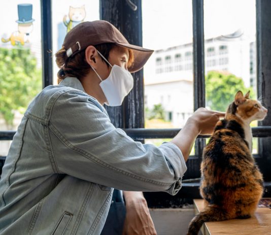 The Cat Cafe Singapore