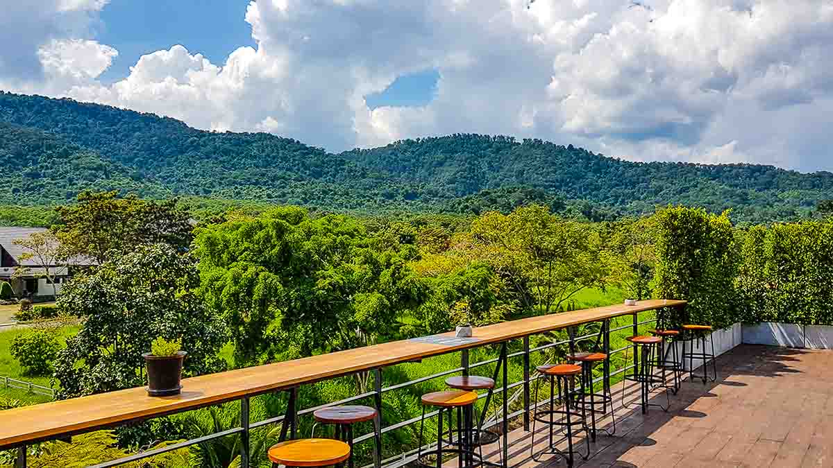 Please dont tell cafe Khao Yai view - Cafe Hopping in Thailand