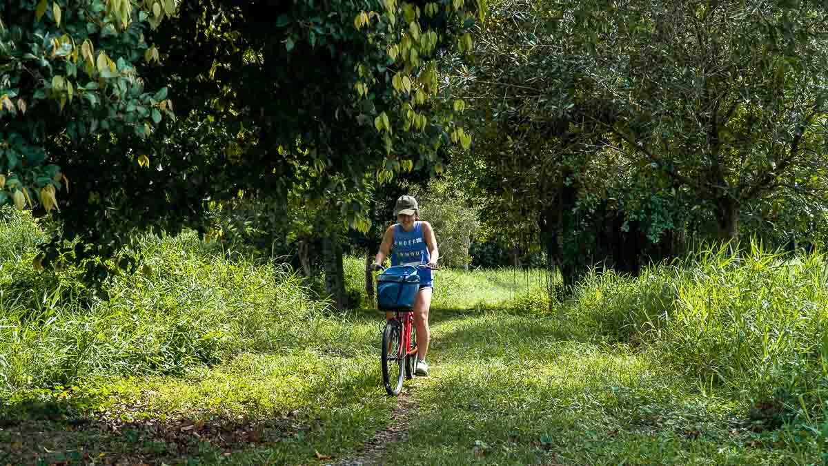 Pulau Ubin Cycling - Things to do in Singapore