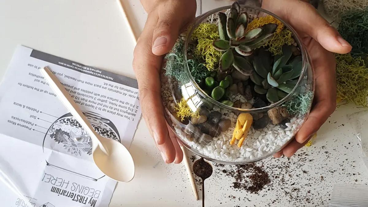 Terrarium Workshop - Fun date ideas in Singapore