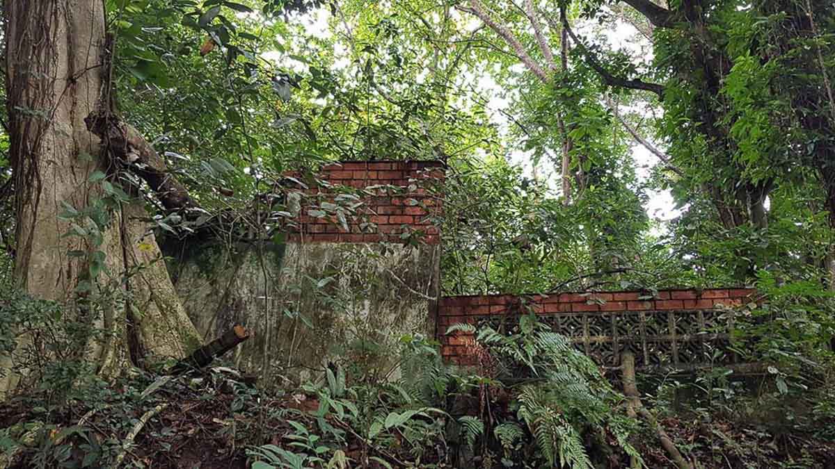 Ruins of Hainan Village Thomson Nature Park - Secret Spots in Singapore