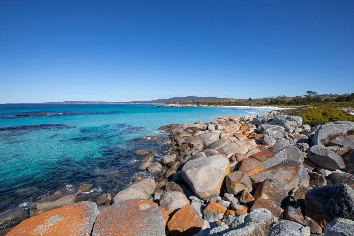 Bay of Fires, Tasmania - Australian Wildlife