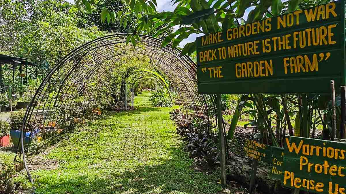 Bollywood Veggies in Yio Chu Kang