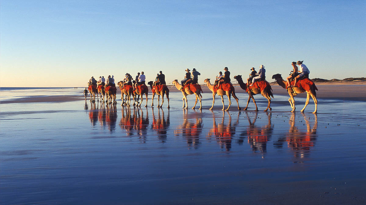 Riding Camels during Sunset at Broome Cable Beach Kimberley - Things to do in Western Australia