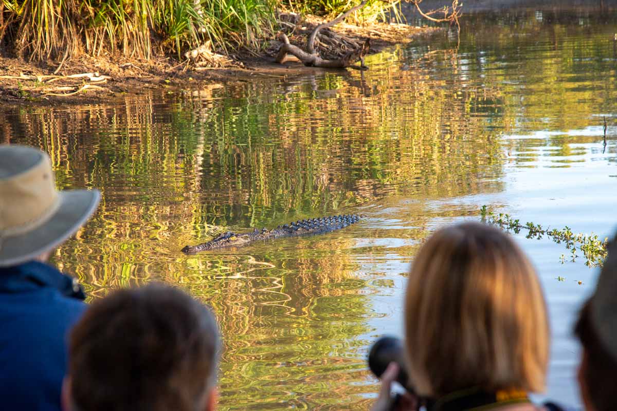 Crocodiles in the Alligator River of Kakadu National Park - Australia Wildlife
