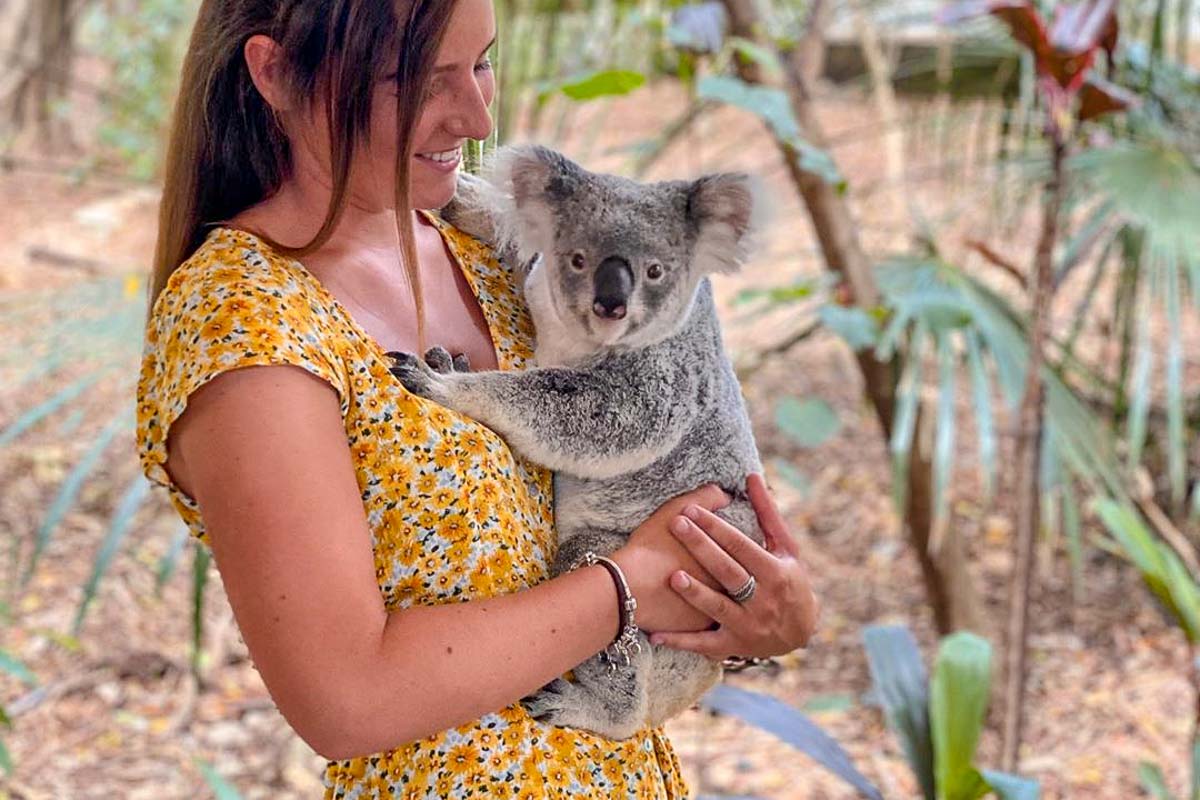 Cuddling a Koala at Lone Pine Koala Sanctuary - Travelling in Brisbane Queensland