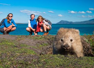 Unique Australian Wildlife Encounters — 8 Places to Get Up Close with Wild Animals Featured - Australian Wildlife