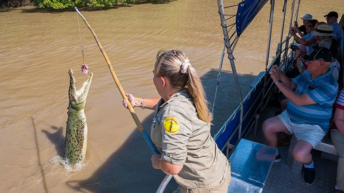 Jumping Crocodile Cruise Adelaide River - Things to do in the Northern Territory