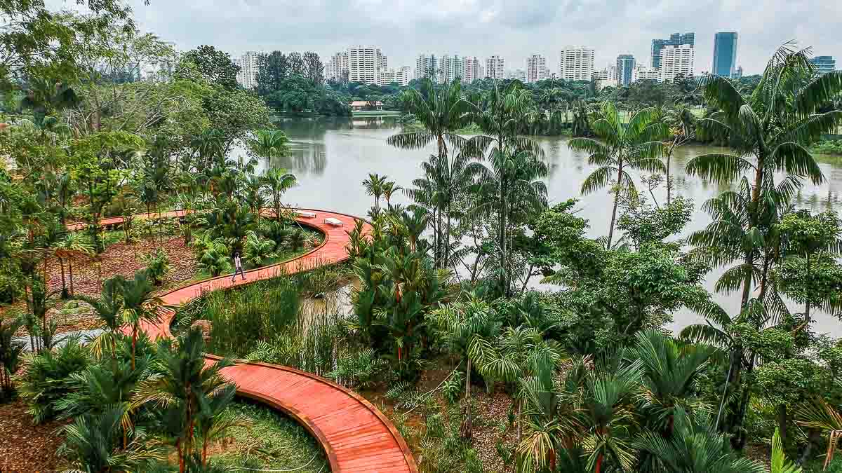 Hiking at Jurong Lake Gardens 