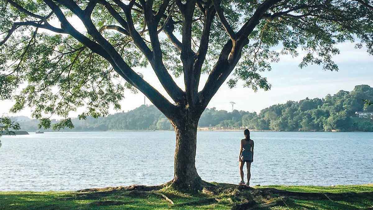 Girl standing under tree