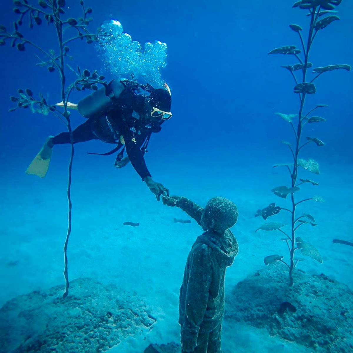 Queensland Museum of Underwater Art - Visit Australia