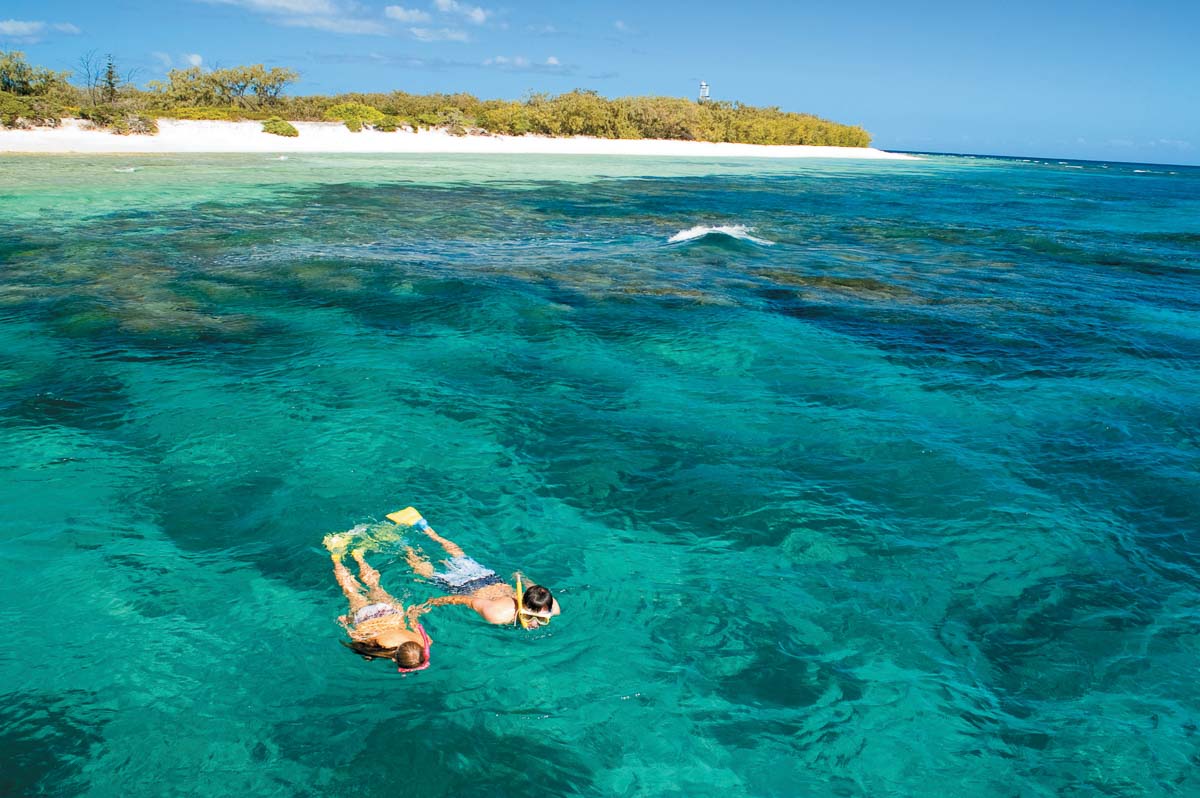 Snorkelling at Lady Elliot Island Eco Resort, QLD - Unique Australia Wildlife